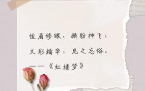 赞扬妇女节的优美句子,共颂节日华章——妇女节赞歌”
