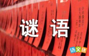 谜语大全 字谜