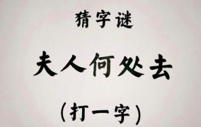 夫人何处去打一字谜底,揭秘谜底背后的趣味与智慧”