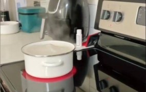 娱乐圈郑爽吃瓜郑爽首度晒出在美生活厨房简陋家具普通！发文仍会坚持心中所想