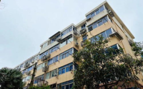 卖家具的小姐姐诸城有吗,探寻卖家具小姐姐的温馨角落